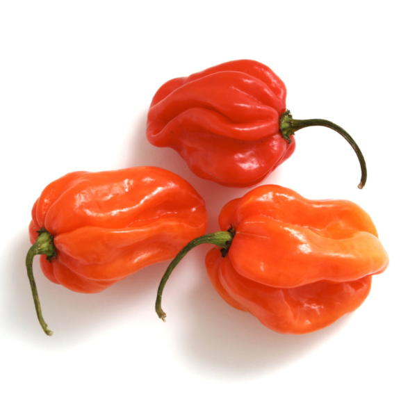 Scotch Bonnets (Kani) 200g
