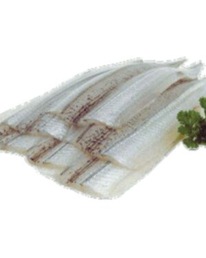Banga Fish Fillet (Kechagh) 100g