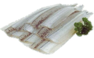 Banga Fish Fillet (Kechagh) 100g