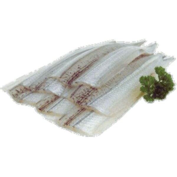 Banga Fish Fillet (Kechagh) 100g