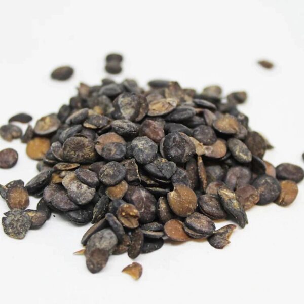 Dried Locust Beans (Netehtu)