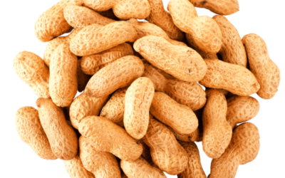 Fresh Peanuts 400g