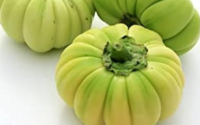 Bitter Tomato (Jahatu) 500g