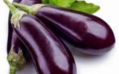 Aubergine Black Beauty 300g