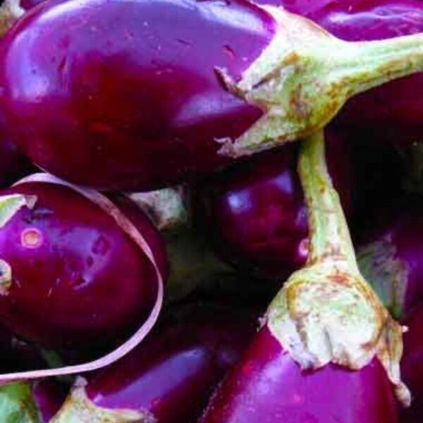Aubergine Black Beauty 300g - Image 2