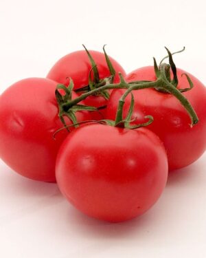 Fresh Tomato