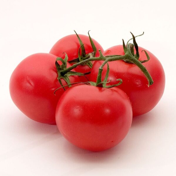 Fresh Tomato