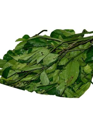 Fresh Pumpkin Leaves (Ugu) 1 Bunch