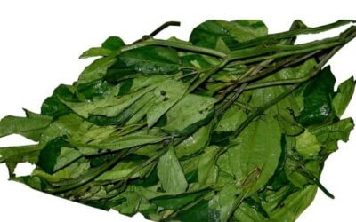 Fresh Pumpkin Leaves (Ugu) 1 Bunch